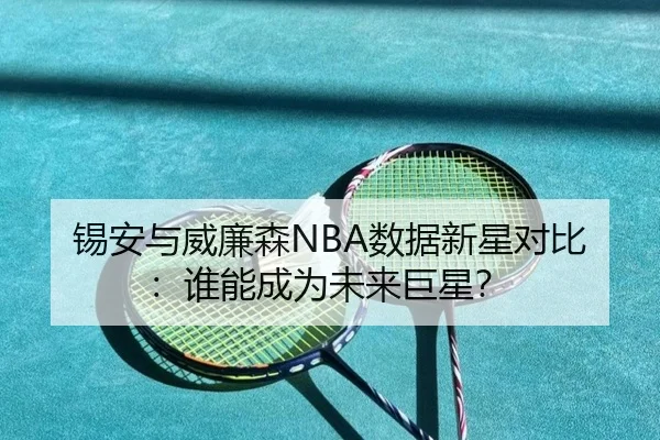锡安与威廉森NBA数据新星对比：谁能成为未来巨星？
